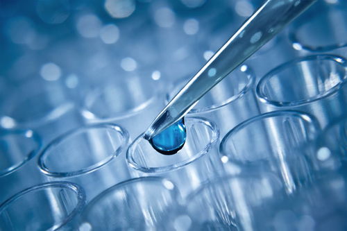 試管嬰兒技術(shù)詳解 一代、二代與三代的區(qū)別及其技術(shù)推廣服務(wù)